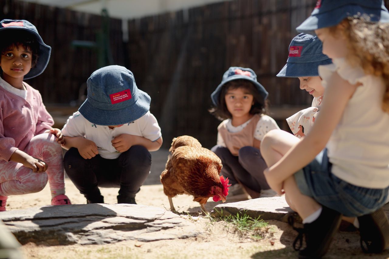 Children gathered around a hen at a childcare centre, engaging in hands-on learning about animals and nature.